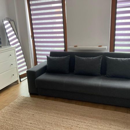 Apartment Novum Rakowicka Street 克拉科夫 外观 照片