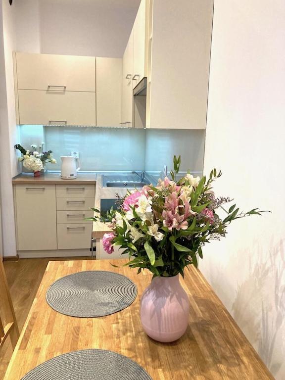 Apartment Novum Rakowicka Street 克拉科夫 外观 照片