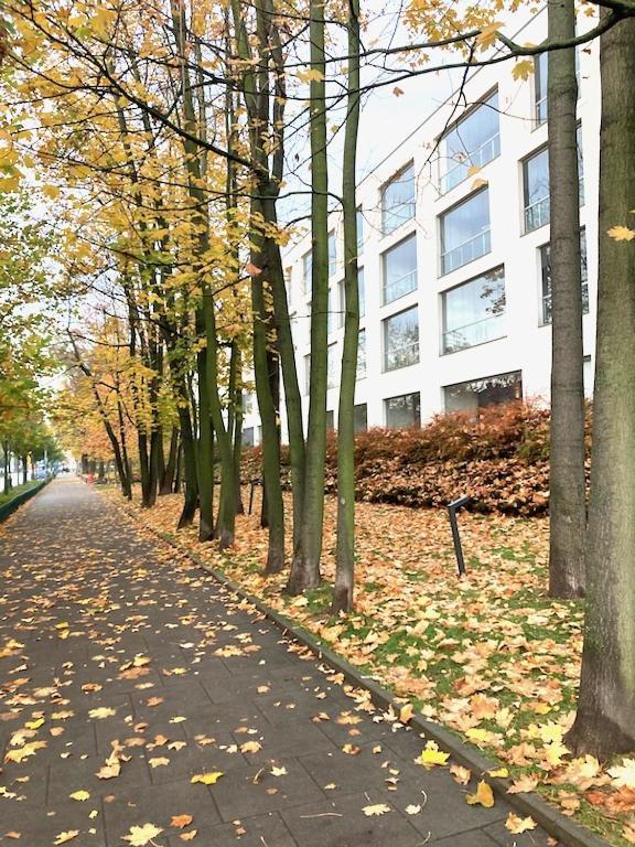 Apartment Novum Rakowicka Street 克拉科夫 外观 照片